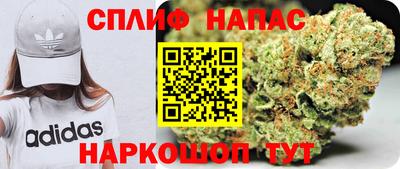 гашик Заводоуковск
