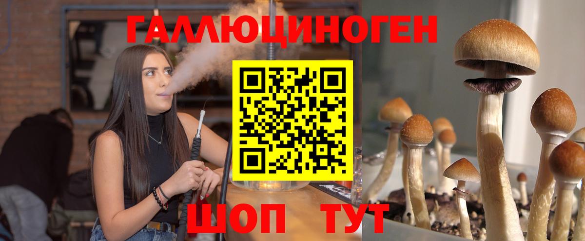 Галлюциногенные грибы Psilocybine cubensis  Галлюциногенные грибы Magic Shrooms  Вход с VPN  Кандалакша 