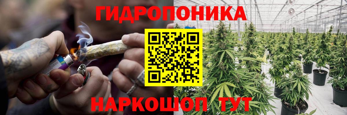 Конопля LSD WEED Кандалакша